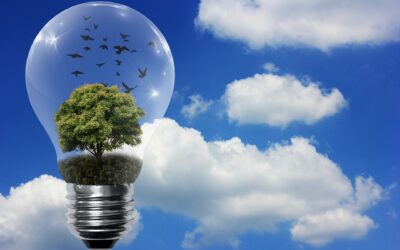 Ener­gia­te­hok­kuus huo­mion kes­kiös­sä – hyvät rat­kai­sut raken­ta­mi­ses­sa sääs­tä­vät luontoa